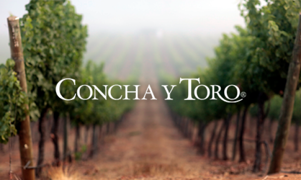 Concha i Chile